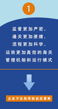 全国通关一体化 数据服务如何重塑贸易新生态